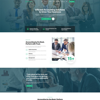 Website homepage showcasing efficient accounting solutions for businesses, featuring a professional team of accountants collaborating in a modern office setting, with sections highlighting services like audit, advisory, and management consulting.